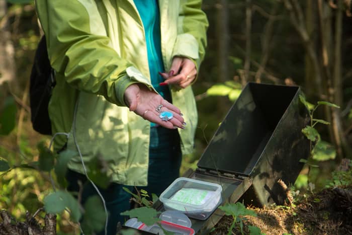 Une personne dans une veste verte en train de faire un geocaching